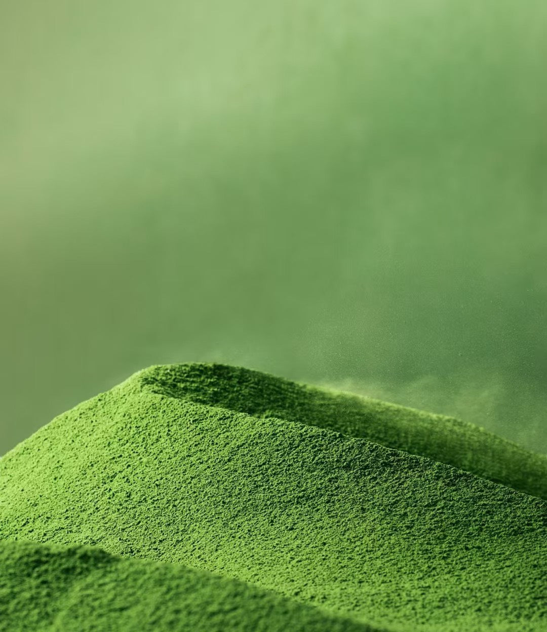 ThB Premium Matcha (AAA-5) 9kg (20lbs)-Free Shipping